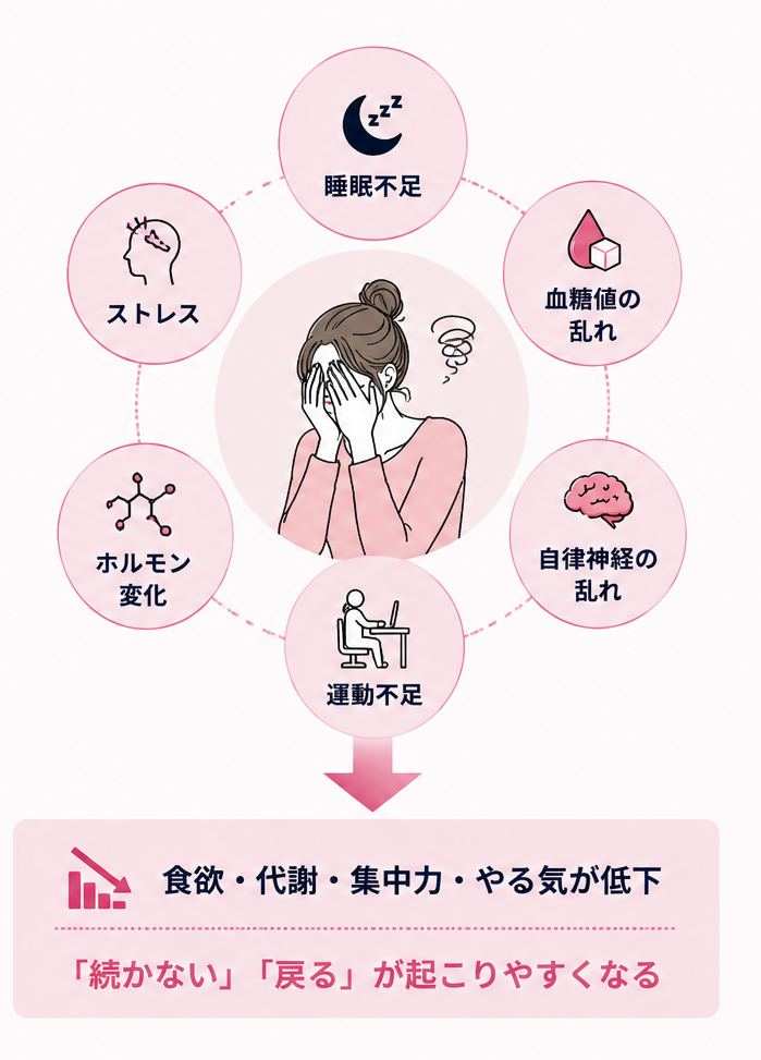 睡眠不足・血糖値の乱れ・ストレス・ホルモン変化・自律神経の乱れ・運動不足が重なると、食欲・代謝・集中力・やる気が低下し、「続かない」「戻る」が起こりやすくなる図解